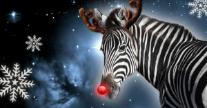 Rudolph Zebra