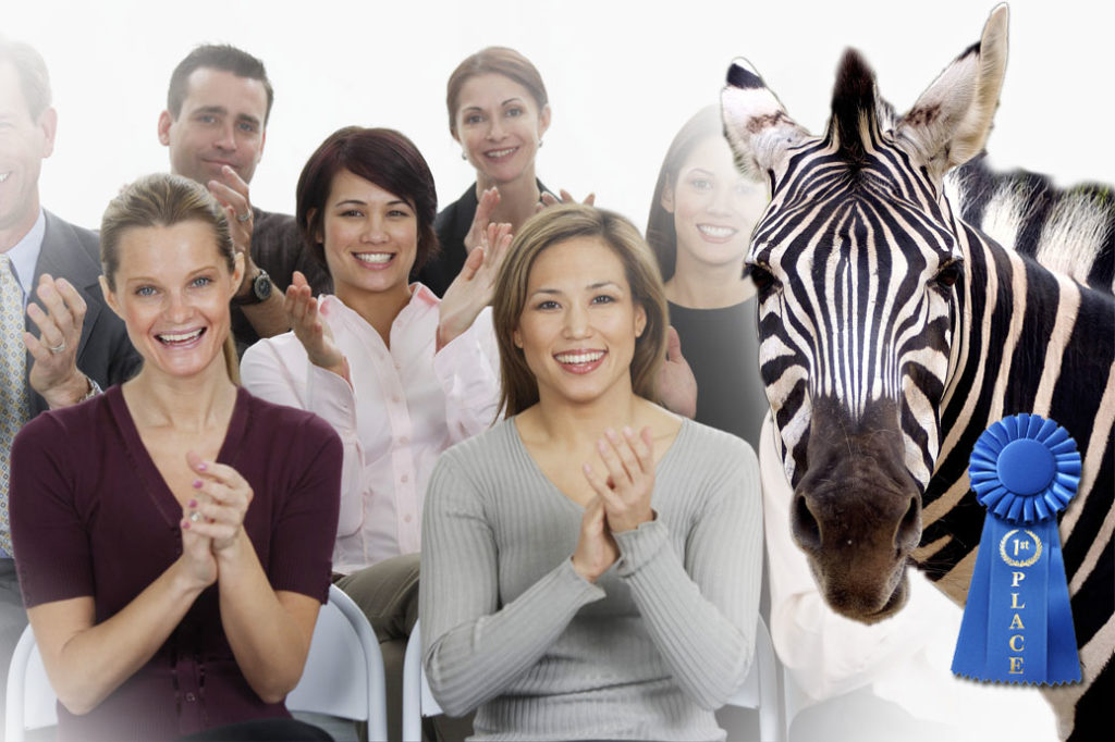 Zebra wins blue ribbon while others applaud