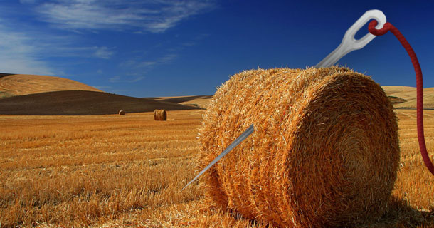 Needle in a Haystack