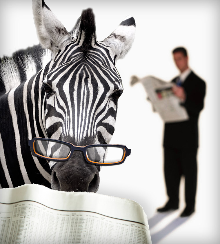 Zebra and man reading newspapers