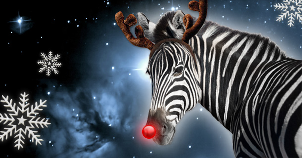 Rudolph Zebra